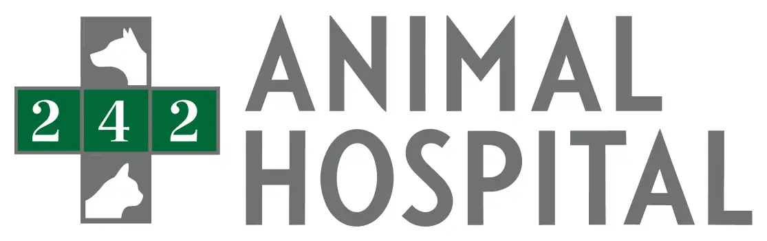 242 Animal Hospital